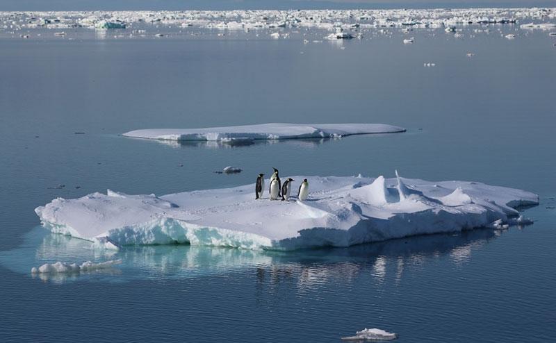 More than 200 scientists from 19 countries want to tell us the Southern Ocean is in trouble