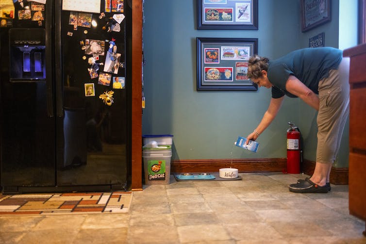 A woman pours water from a box into her dog's dish