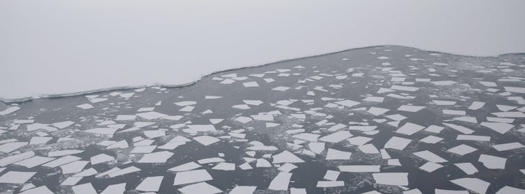 Sea ice up against an ice shelf.