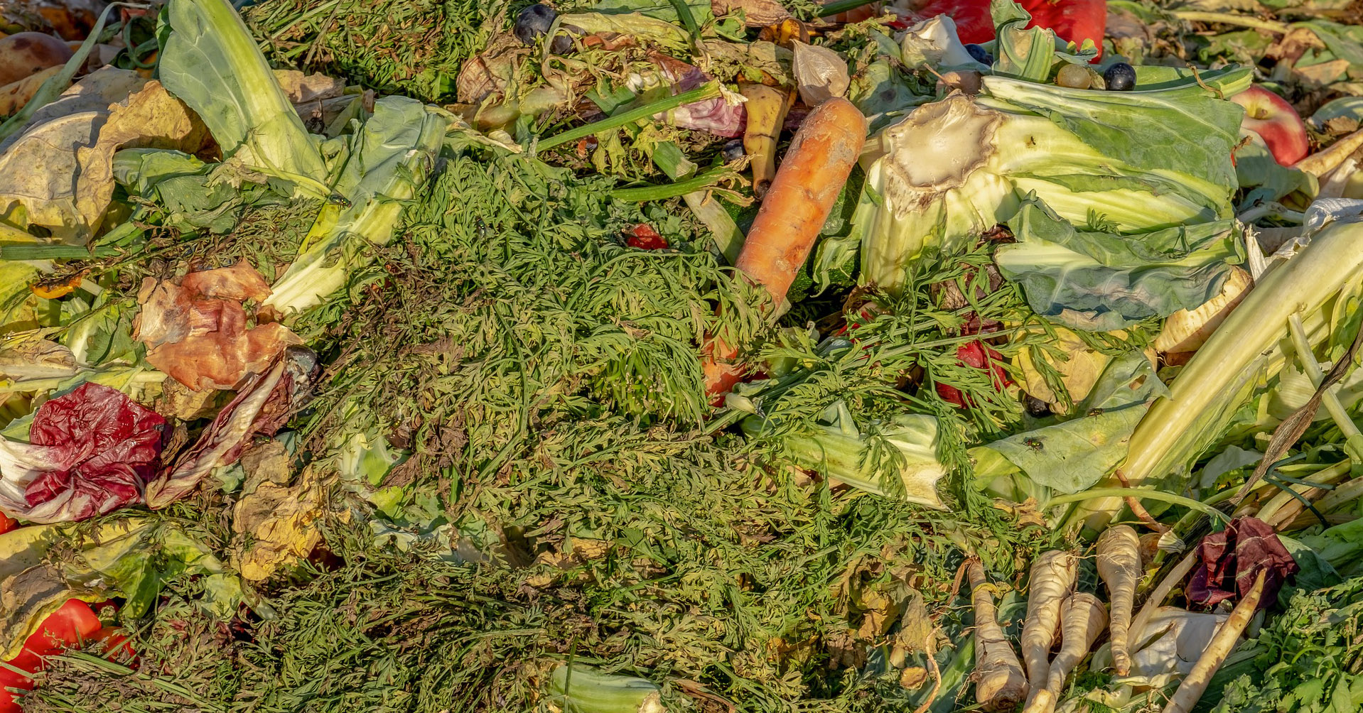 compost-1200x628