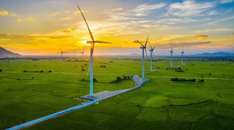 renewable-energy-trends-2025-800x445