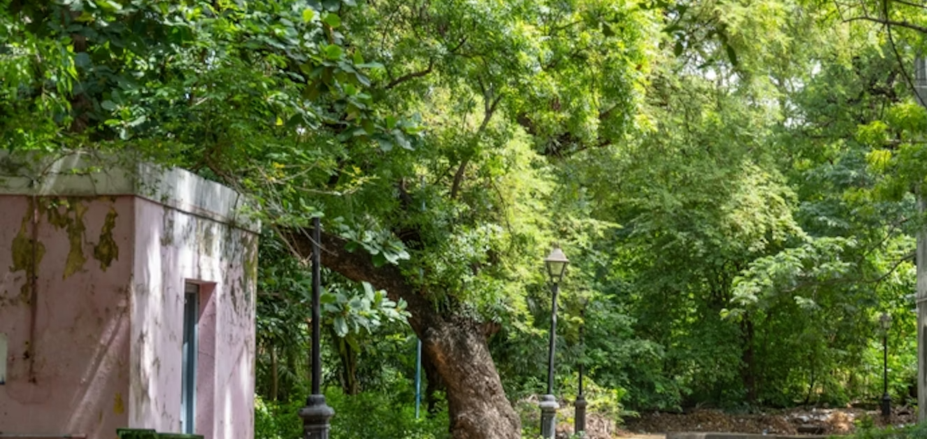 Screenshot 2026-01-29 130242