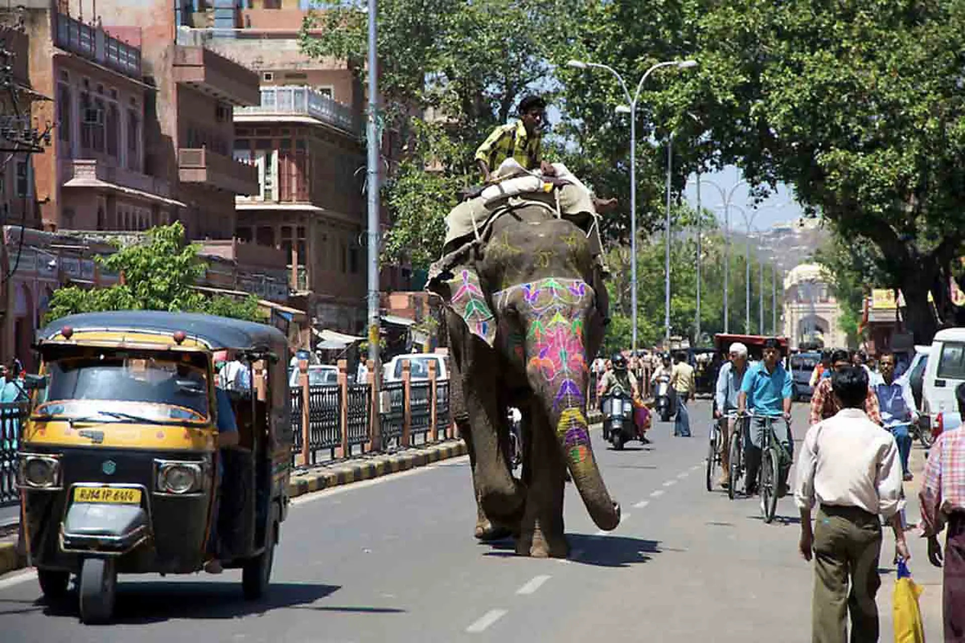 steering-india-public-transport-system-towards-sustainability-new