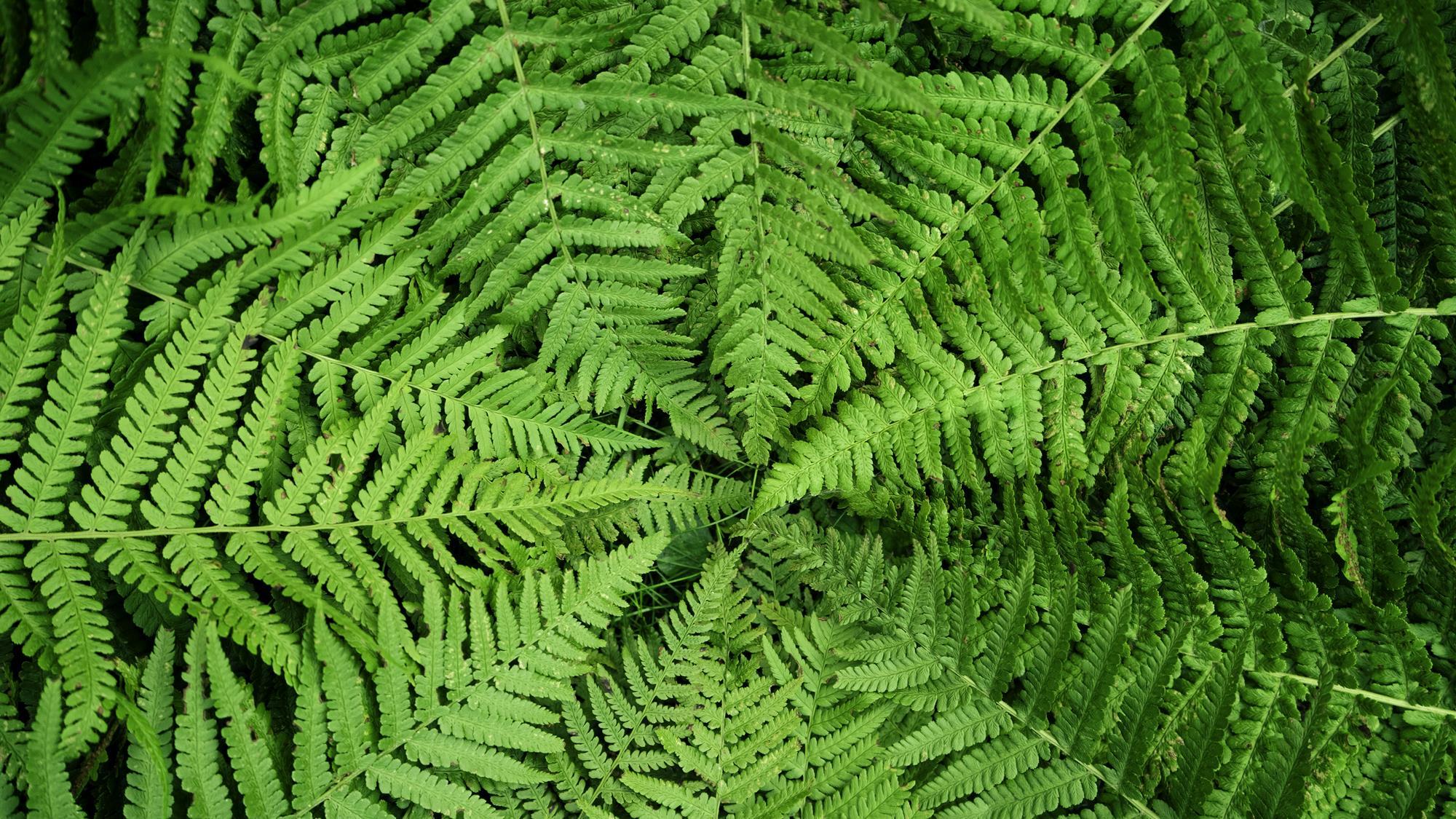 545482_gettyimages1700128245_353802