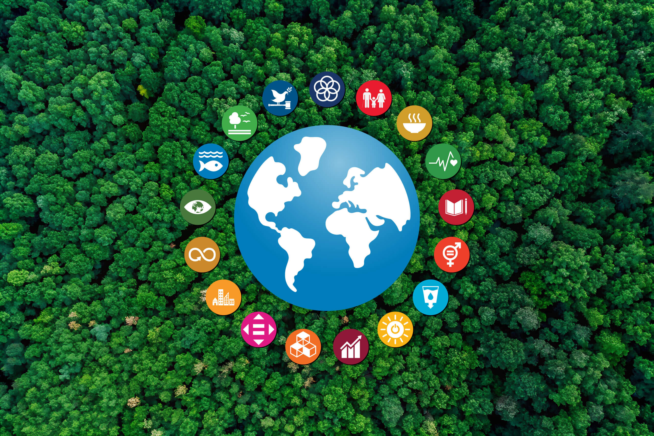 AdobeStock_1147590401-scaled